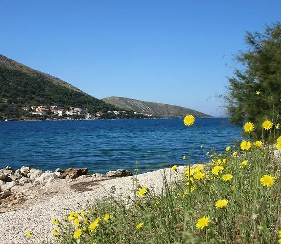 Apartamento Jasminka Grebaštica