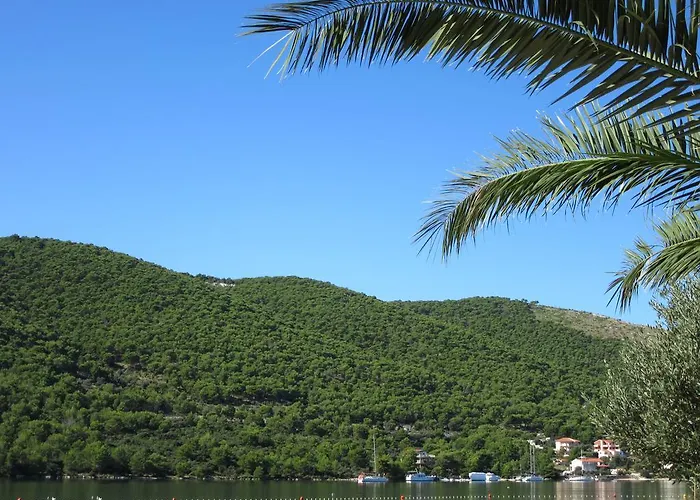 Apartamento Jasminka *